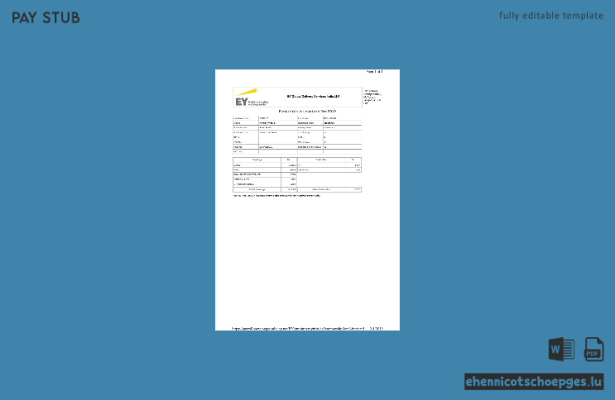 Beispiel für eine Gehaltsabrechnung von EY Global Delivery Services